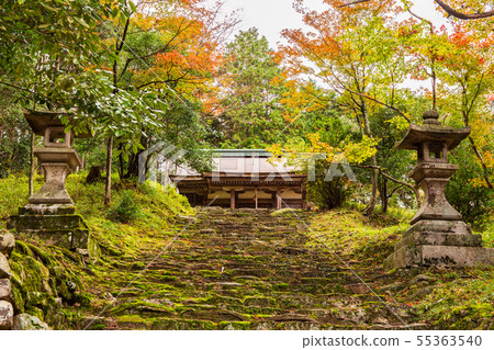 Autumn Shiga Sakamoto Hiyoshi Taisha Hayao Shrine Autumn Shiga Sakamoto Hiyoshi Taisha Hayao Shrine 55363540