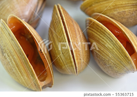 Bakagai(白痴殼) Bakagai(白痴殼) 55363715