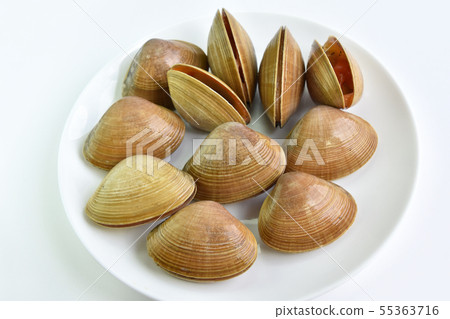 Bakagai（白痴殼） 55363716