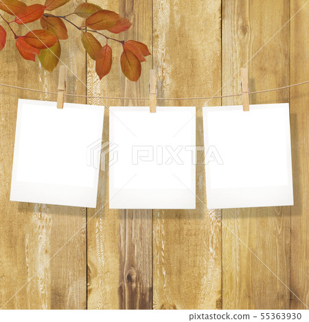 背景 - 木紋 - 寶麗來照片分支 - 秋葉 - 框架模板 55363930