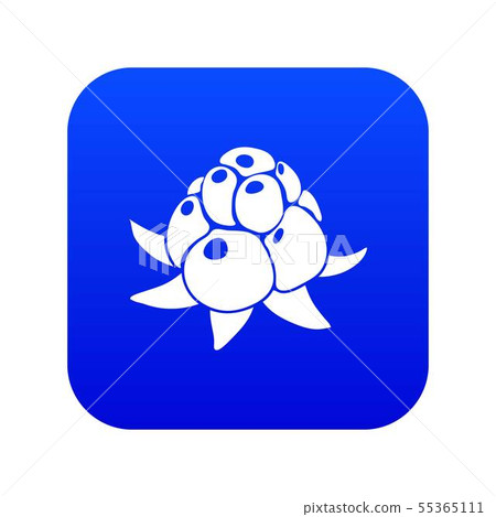 Wild raspberry icon blue vector Wild raspberry icon blue vector 55365111