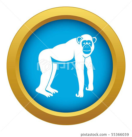Chimpanzee icon blue vector isolated Chimpanzee icon blue vector isolated 55366039
