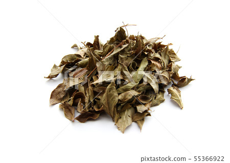 指甲花離開 55366922