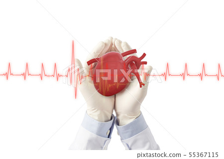 doctor hold heart show signel heart beat doctor hold heart show signel heart beat 55367115