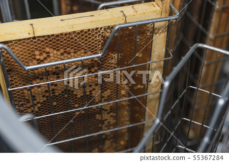 Honey collection by centrifuge Honey collection by centrifuge 55367284