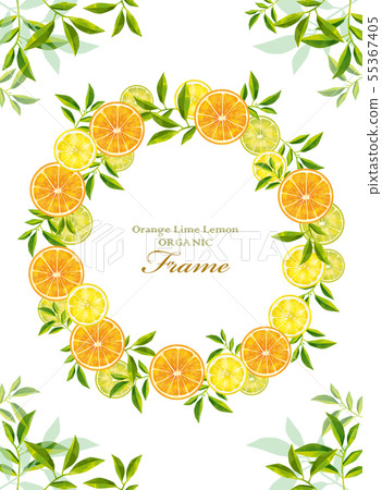 Frame of lemon and lime and orange Frame of lemon and lime and orange 55367405