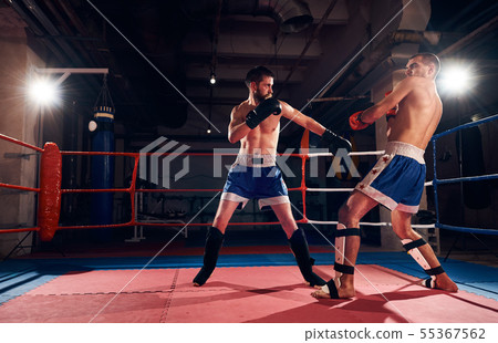 Boxers training kickboxing in the ring at the 55367562