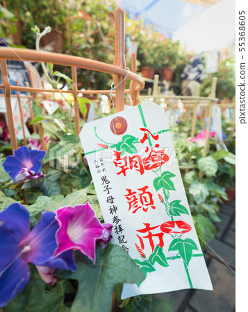 Tokyo Iridani Asagao Festival Tokyo Iridani Asagao Festival 55368605