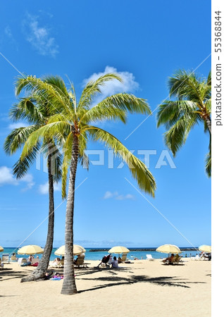 夏威夷的假期 夏威夷的假期 55368844