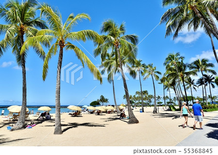 夏威夷的假期 夏威夷的假期 55368845