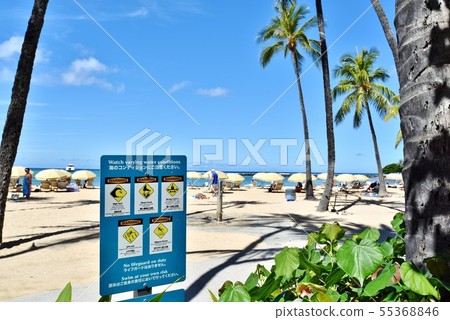 夏威夷的假期 55368846