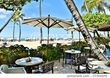 夏威夷的假期 55368848