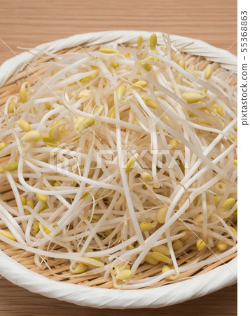 Mamemo Palm 55368863