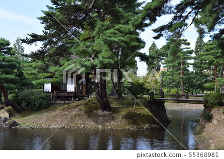 你的藥草園 55368981