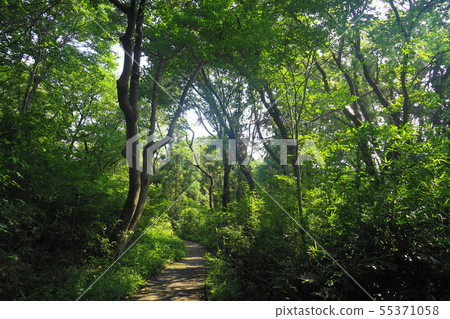 7月橫濱468京下塔谷公園，隱秘區 55371058