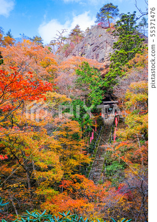 Yamamoto Fudoson（秋季） 55371476