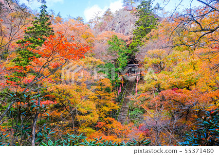 Yamamoto Fudoson（秋季） 55371480