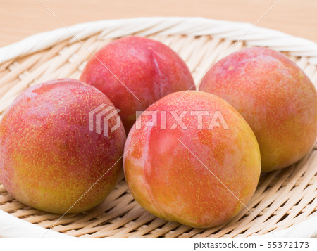 Sumomo夏日天使 55372173