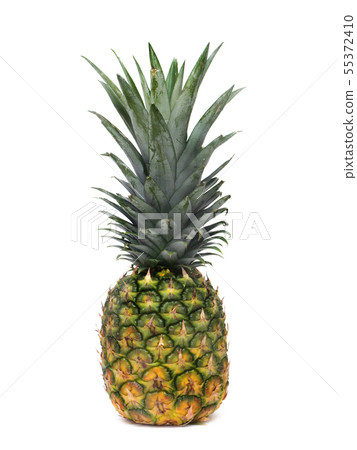 菠蘿 55372410