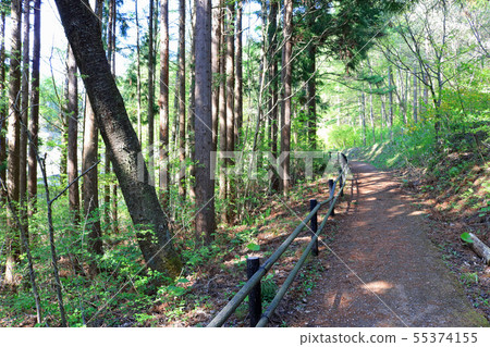 Morioka City Animal Park, Four Seasons Forest Walkway 55374155