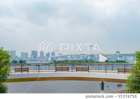 Tokyo Odaiba Seaside Park Walking Deck Tokyo Odaiba Seaside Park Walking Deck 55374758