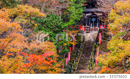 Yamamoto Fudoson(秋季) Yamamoto Fudoson(秋季) 55375033