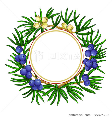 juniper vector frame 55375208