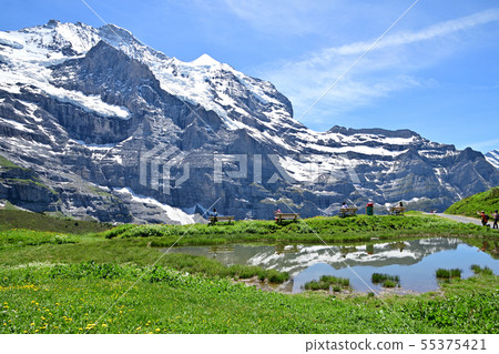 The mountains of Jungfrau reflected in the pond on the way to the "Klinesheidek-Wengern Alp" hiking course 55375421