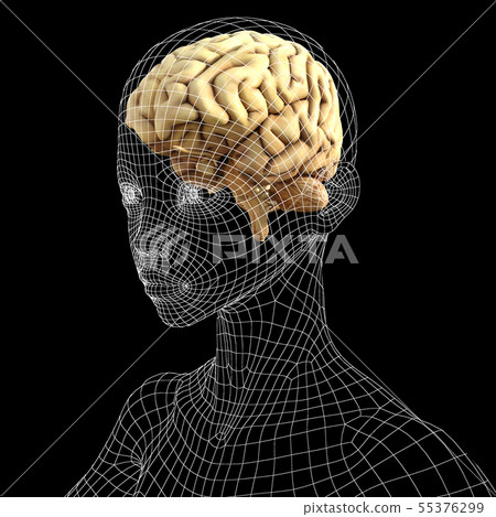 腦子例證圖像perming3DCG例證材料 腦子例證圖像perming3DCG例證材料 55376299