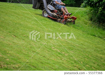 process of lawn mowing season sunny day lawn 55377366