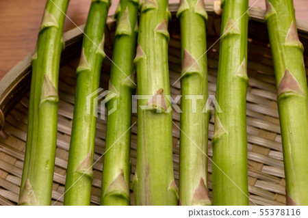 蘆筍(綠蘆筍)。 蘆筍(綠蘆筍)。 55378116