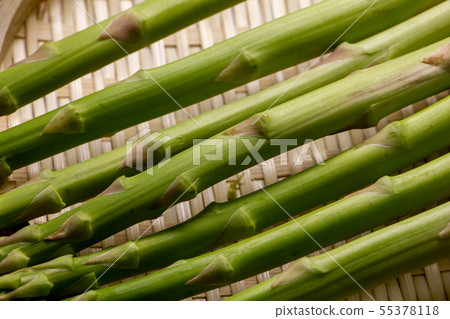 蘆筍（綠蘆筍）。 55378118