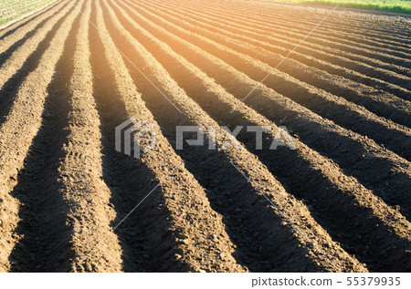 plowed field after cultivation prepared  55379935