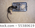 Mousetrap 55380619