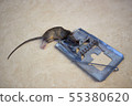 Mousetrap 55380620