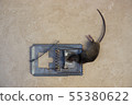 Mousetrap 55380622