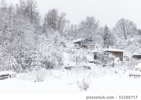 Russian winter landscape with snowy trees Russian winter landscape with snowy trees 55380757