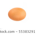 egg in white background 55383291