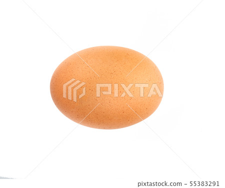 egg in white background 55383291
