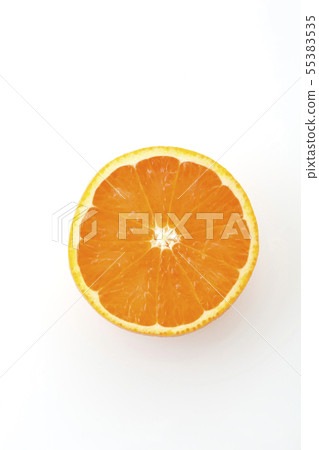 Kiyomi橙色碗 Kiyomi橙色碗 55383535