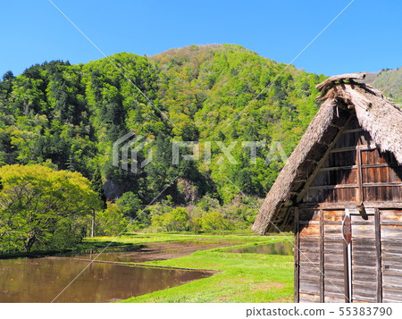 The World Heritage Site of Spring Gokayama Sounuma The World Heritage Site of Spring Gokayama Sounuma 55383790