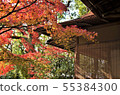 京都的秋葉和圖像由茶室上色了 55384300
