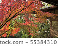 京都的秋葉和圖像由茶室上色了 55384310