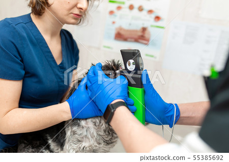 A veterinary ophthalmologist makes a medical 55385692