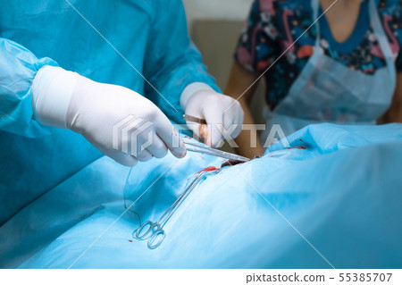 the surgeon applies a surgical clamp to stop the the surgeon applies a surgical clamp to stop the 55385707