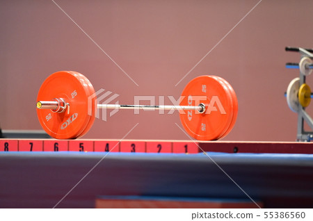 舉重 55386560