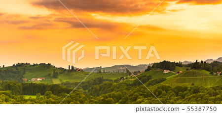 Panorama View at South Styria Vineyard fields in 55387750