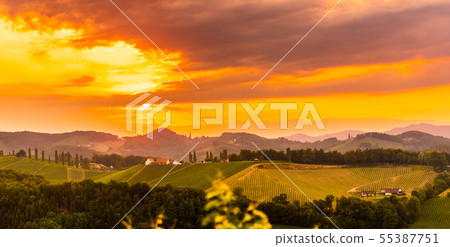 Panorama View at South Styria Vineyard fields in 55387751