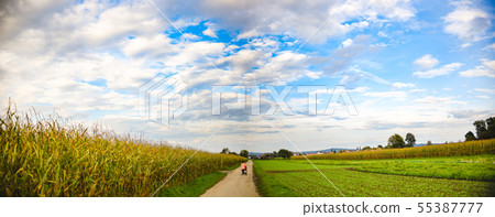 Young woman with stroller runs on country road. 55387777