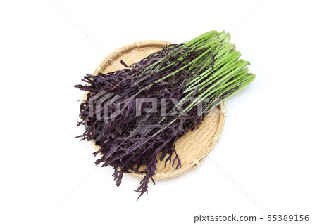 Purple mustard 55389156